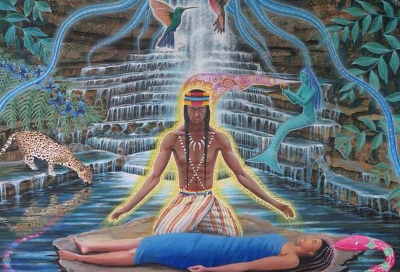 kosten ayahuasca retreat amsterdam