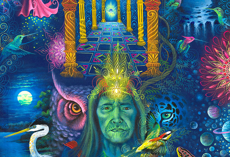 ayhuasca ayahuasca ceremonie prijs amsterdam april