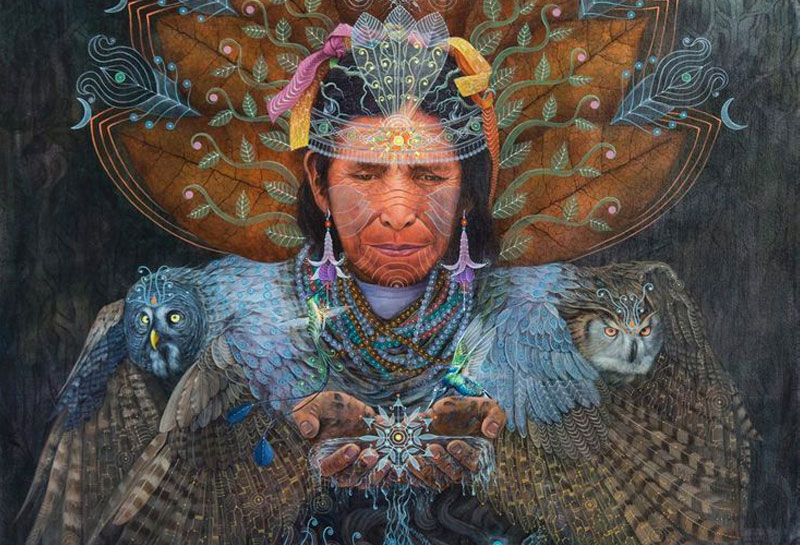 ayahuasca plant medicijn ceremonie prijs amsterdam