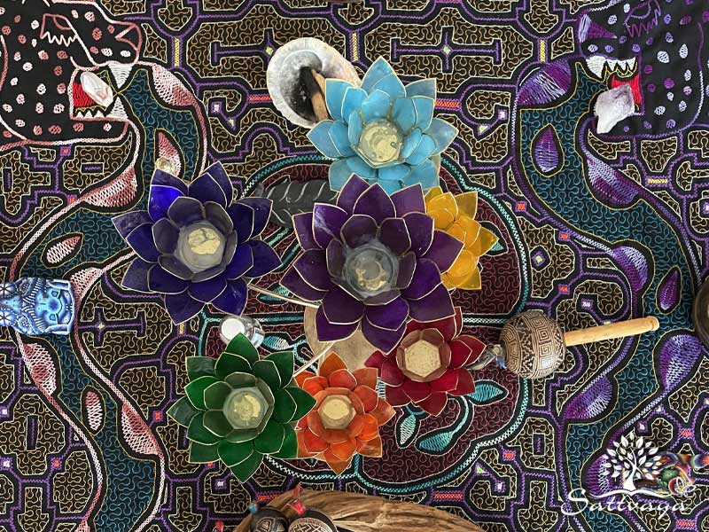 ayahuasca retreat veilige set setting amsterdam nederland