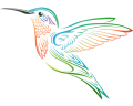 ahayasca aya huasca ayahuasca retreat nederland amsterdam kolibri