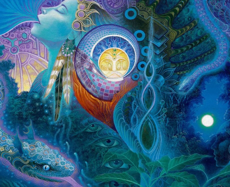 price ayahuasca ceremony retreat amsterdam netherlands