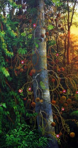 ayahuasca antidepressiva ayahuasca gevaarlijk