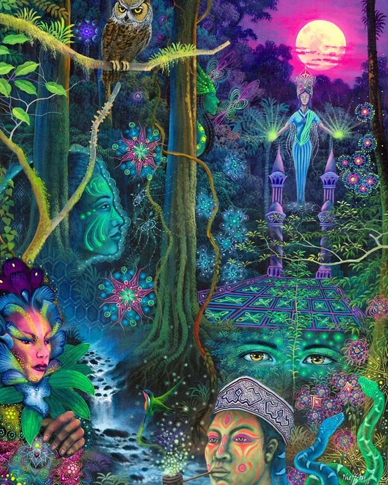 kosten ayahuasca retreat amsterdam