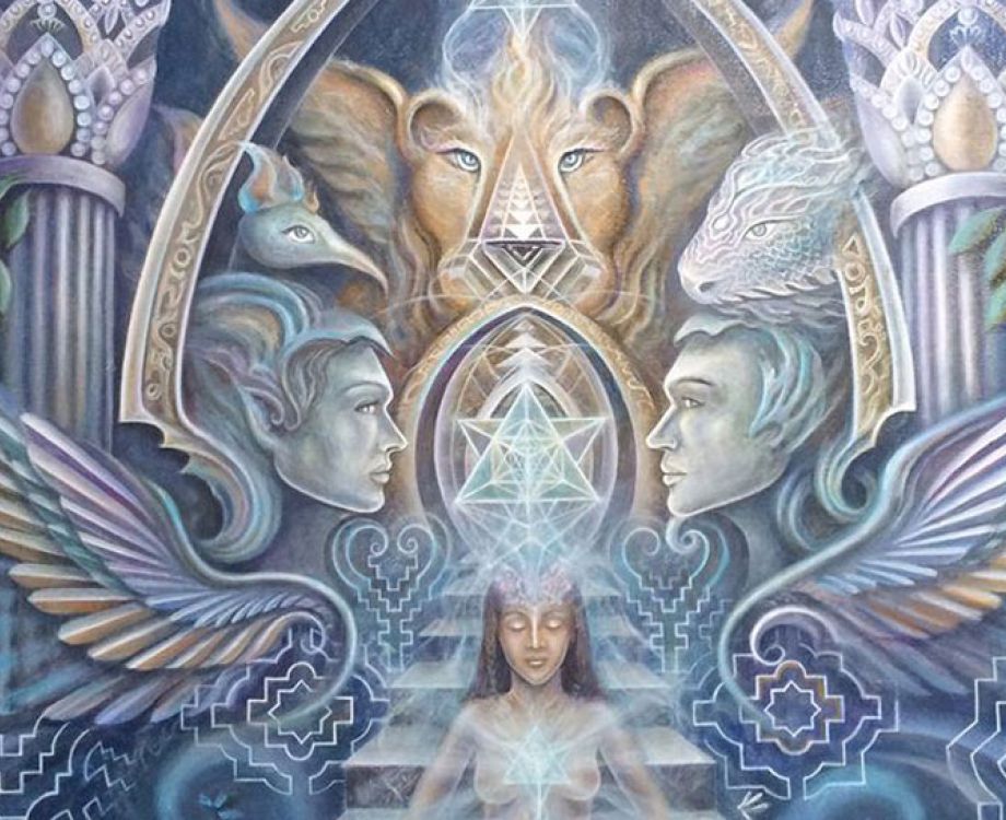 kosten ayahuasca retreat amsterdam