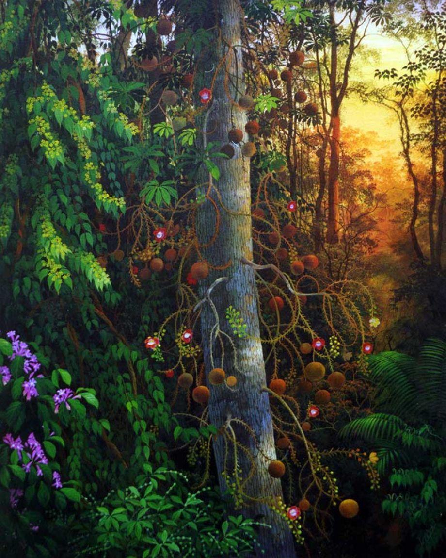 plantmedicijn caapi