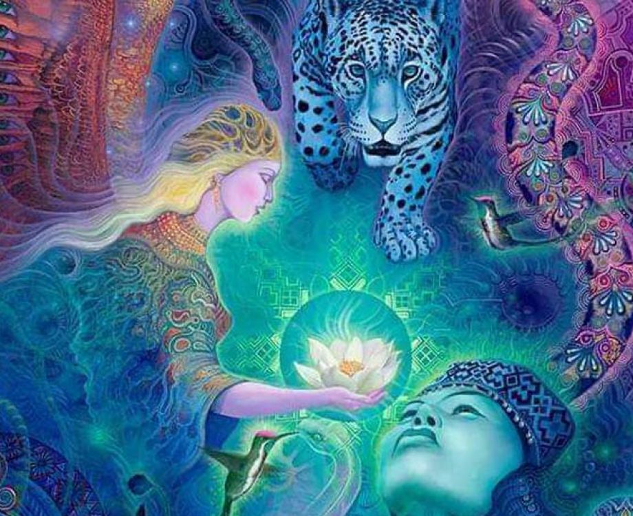 kosten ayahuasca retreat amsterdam