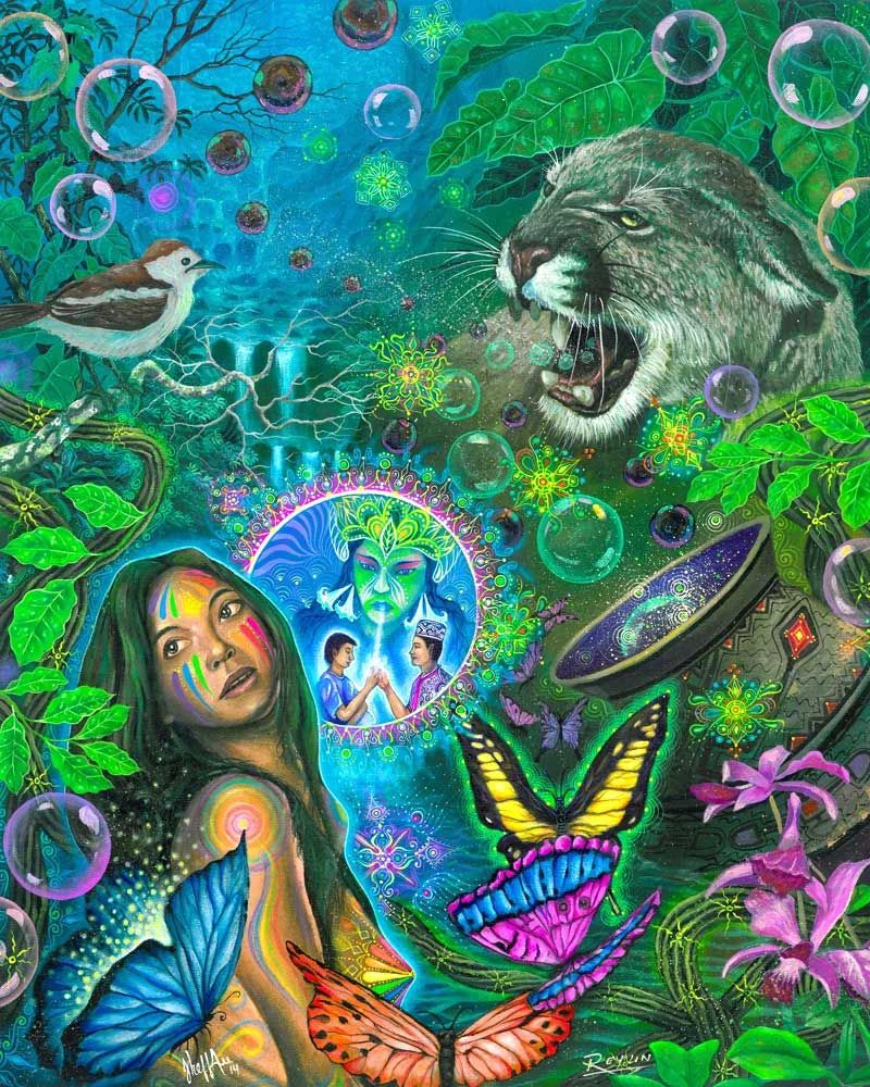 kosten ayahuasca ceremonie amsterdam