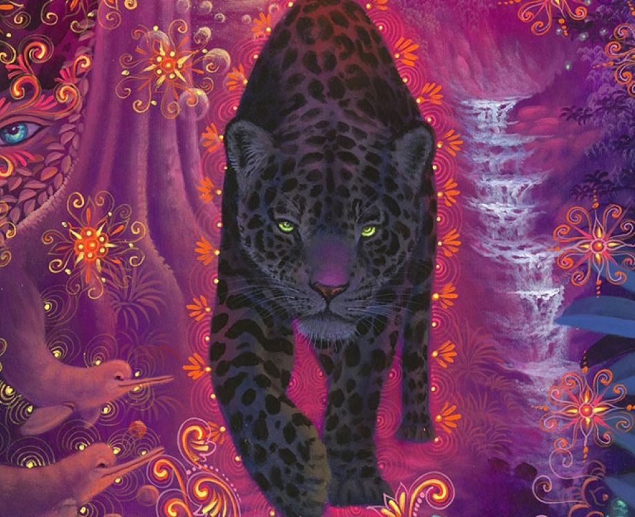 prijs ayahuasca plantmedicijn ceremonie amsterdam nederland