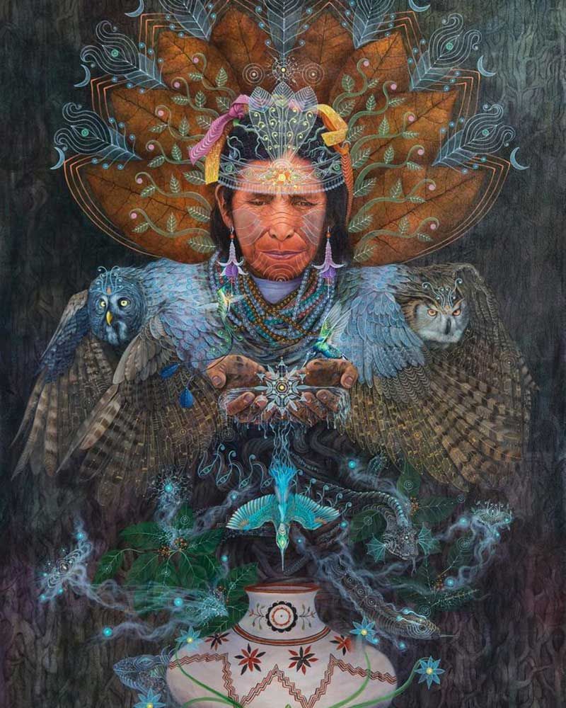 kosten ayahuasca retreat amsterdam
