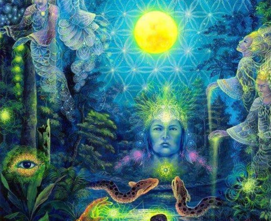 prijs kosten ayahuasca ceremonie retreat nederland