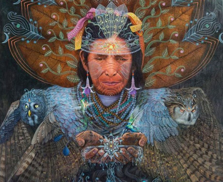 kosten ayahuasca retreat amsterdam