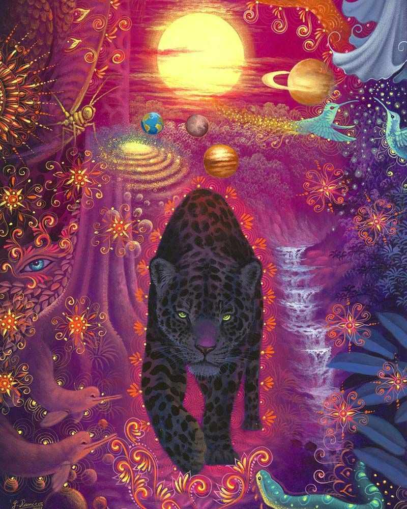 prijs ayahuasca plantmedicijn ceremonie amsterdam nederland