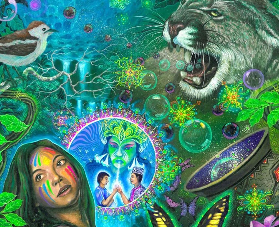 kosten ayahuasca retreat amsterdam