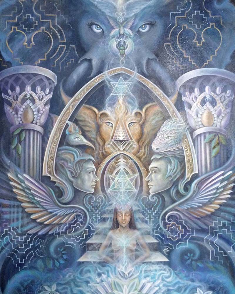 kosten ayahuasca retreat amsterdam